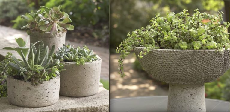 How To Make Your Own Unique Cement Planters Using Old Rags And Plastic Bottles