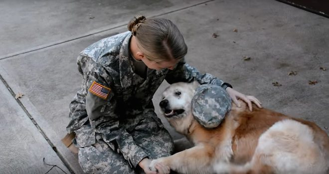 Elderly Dog Cries When She Notices Soldier Has Returned Home