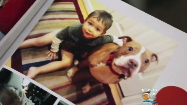 Some Companies Now Allowing Pet Bereavement Time To Employees