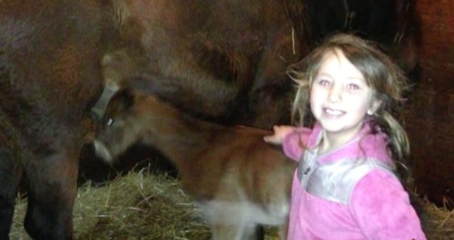 runt horse becomes race champion