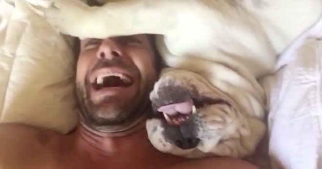 Funny Dogs And Puppies Compilation Will Bring On The Smiles