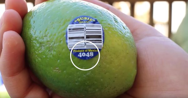 fruit-numbers
