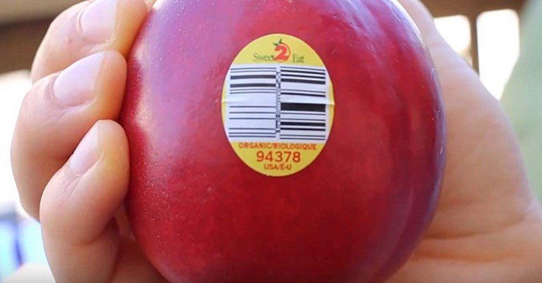 fruit stickers