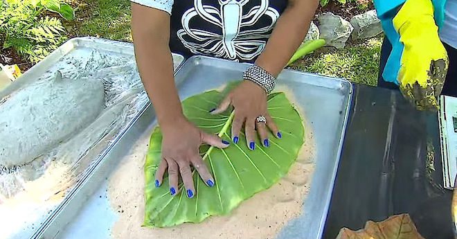 How To Preserve Beautiful Leaves From Your Garden With Leaf Casting