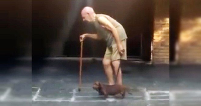 Patient Dog Walks Very Slowly So His Frail, Elderly Owner Can Keep Up