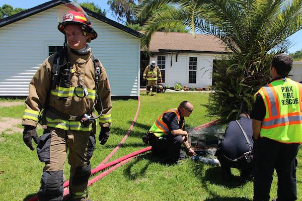 polk-fire-pig-5