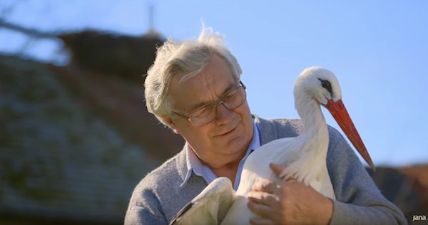 stork-2