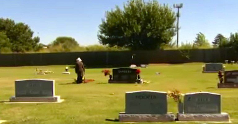 Elderly Woman Who Was Mugged At Her Husband’s Grave Gets Surprising Apology