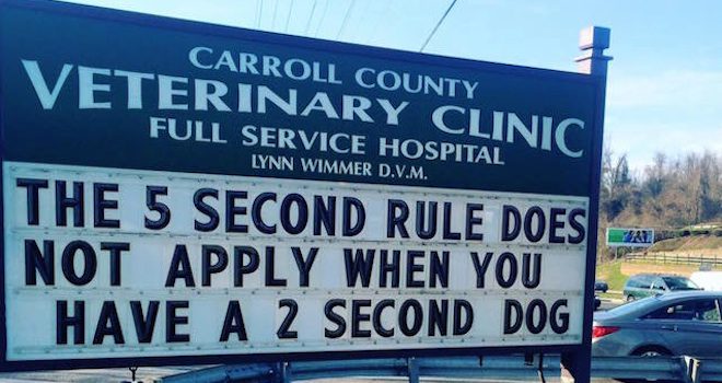 16 Veterinary Clinics That Show Off Their Great Sense Of Humor