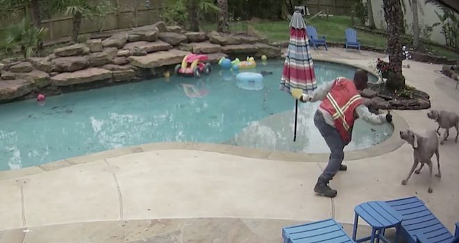 Family Watches In Horror As Contract Worker Hits Their Dogs With Wrench