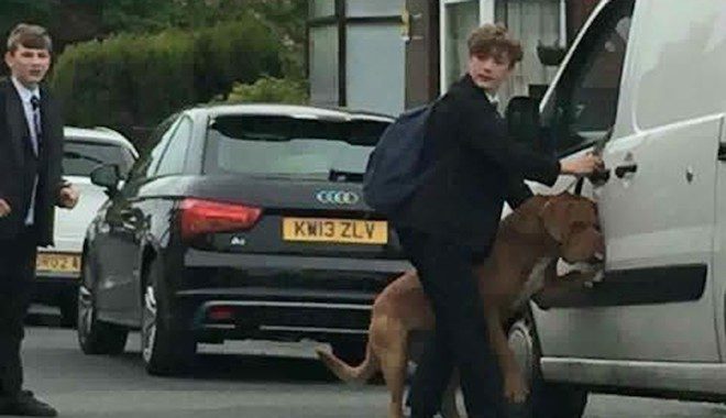 teen saves dog