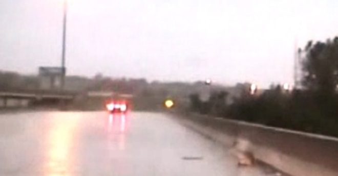 Police Officers Make Dramatic Rescue Of Deer Caught In Thunderstorm