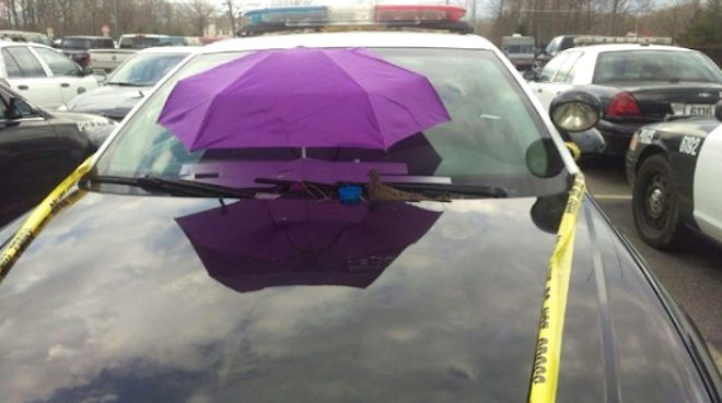 Police Protect A Dove And Her Eggs In The Sweetest Way Possible