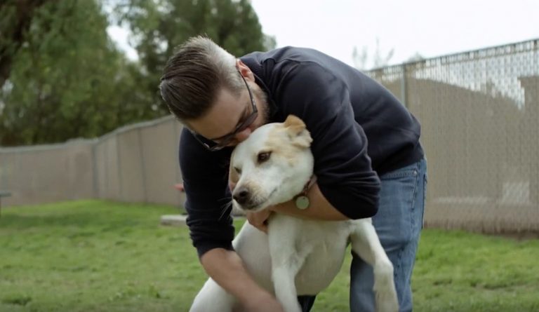 Military Veteran Writes Heartfelt Letter To Service Dog Who Gave Him His Life Back