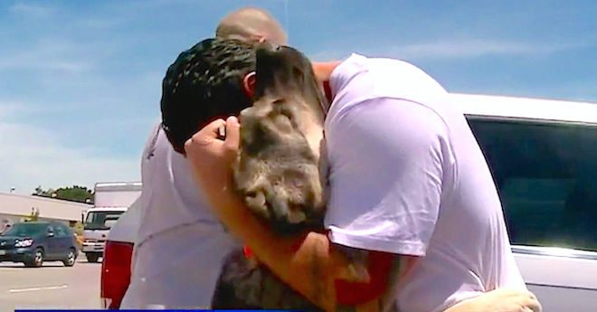 soldier rescues dog from iraq