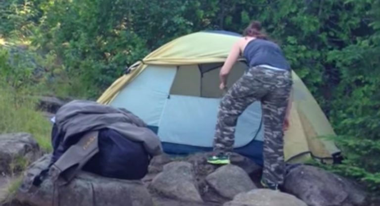 Couple Reunites With Their Dog Who Was Lost In Wilderness For Two Weeks