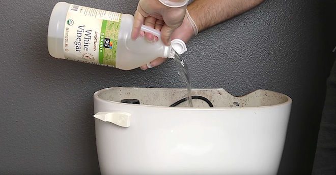 cleaning the toilet
