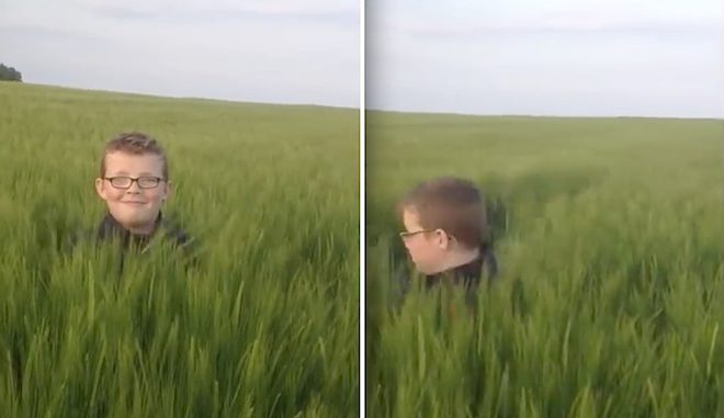 Family Dog Hilariously Sneaks Up On Boy In Tall Grass