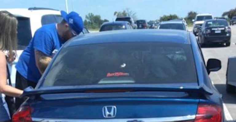 Baseball Fans Rescue Puppy Stuck In Hot Car Outside Stadium