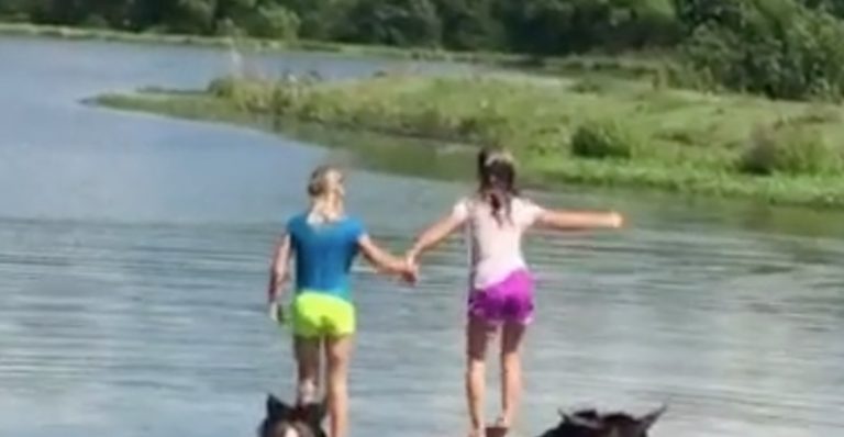 Best Friends Enjoy A Swim In The Lake With Their Horses