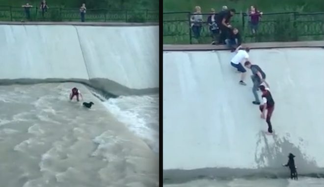 People Form A Human Chain To Save Dog’s Life