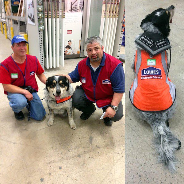 lowes-hire