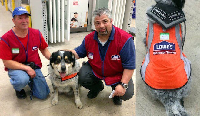 Hardware Store Hires Unemployed Man And His Medical Service Dog