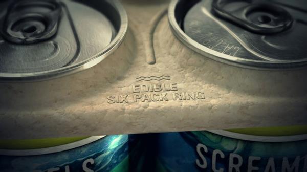 saltwater-brewery