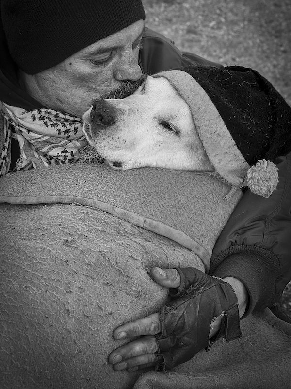 Mans Best Friend (J6) taken in Paris, France