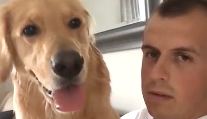 Golden Retriever Reacts To News He’s Getting a Baby Brother