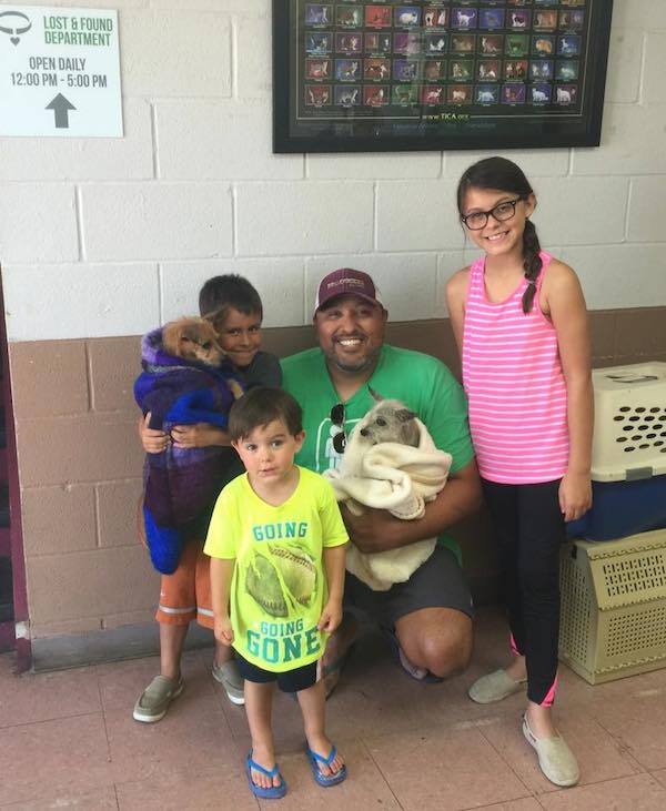 Corky dog rescue