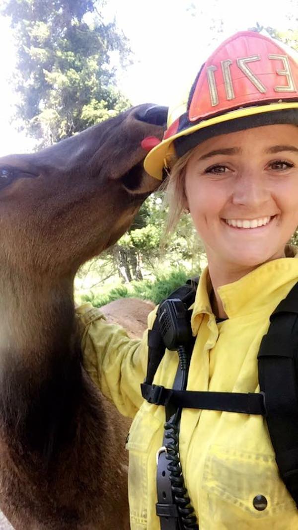 friendly-elk-3