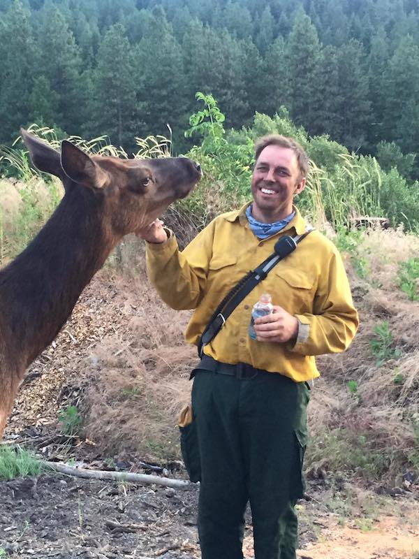 friendly-elk-4