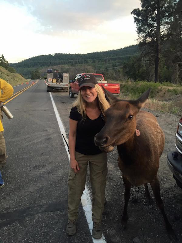 friendly-elk-5
