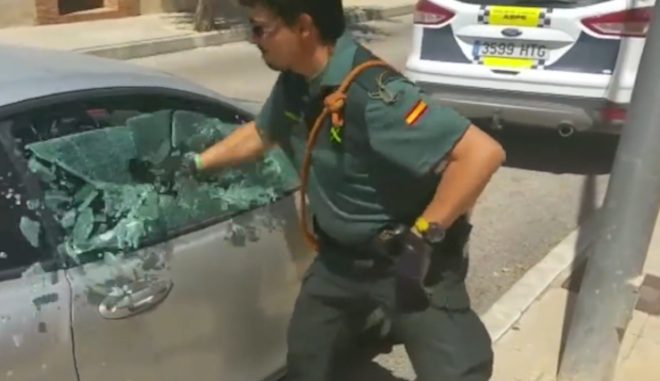 police smash window free dog