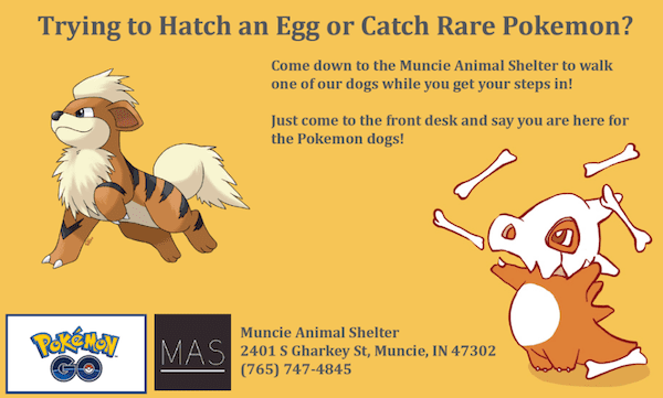 muncie-pokeman