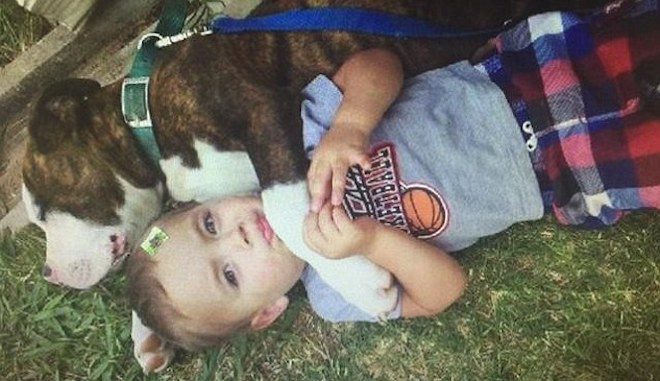 Police Officer Shoots Dog At 5 Year Old’s Birthday Party