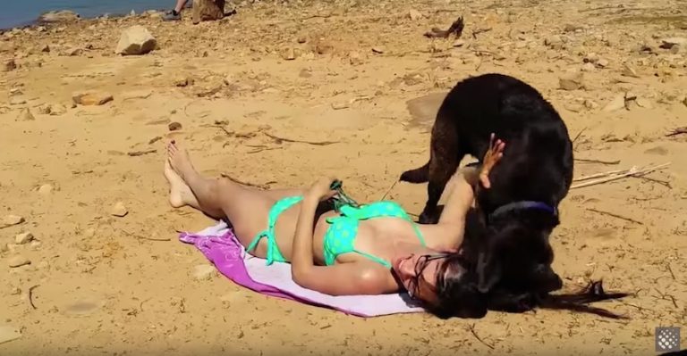 Woman Tries To Sunbathe But Her Dog Has Other Plans