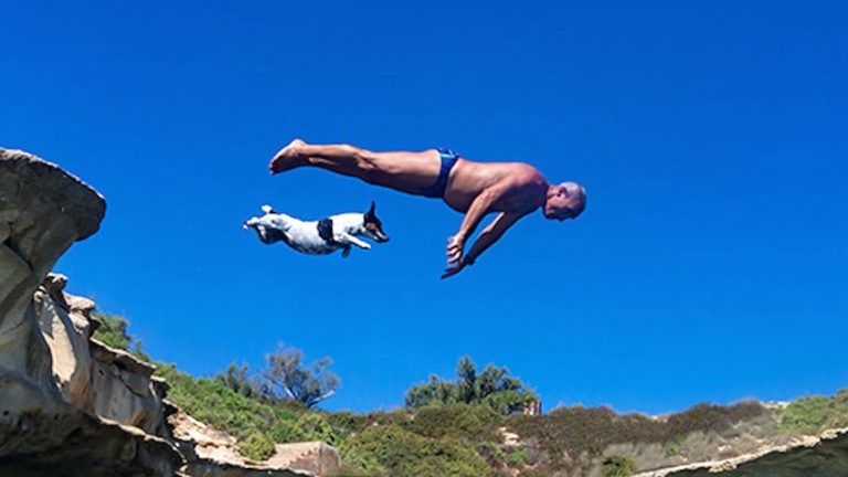 cliff diving dog