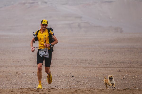 gobi-2