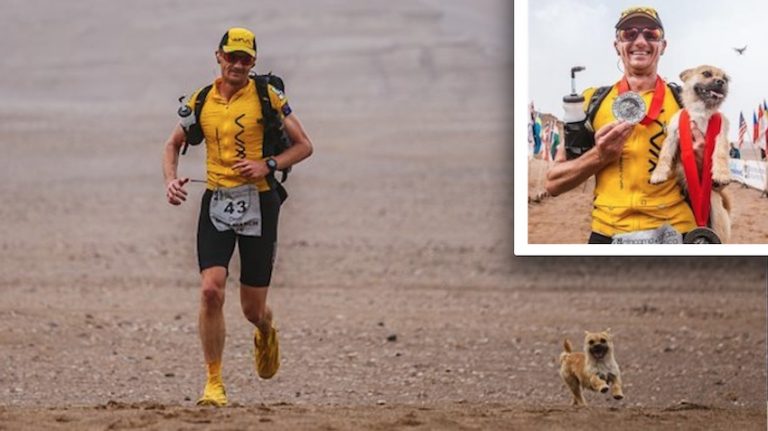 Ultra Runner Wants To Adopt Stray Dog Who Ran With Him In The Grueling Gobi Desert Race