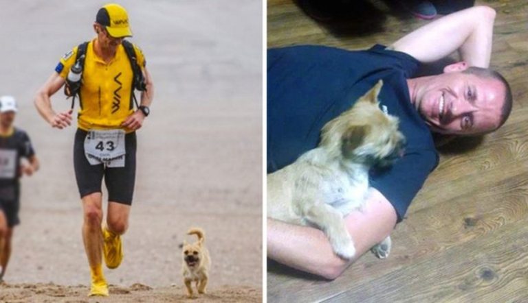 Ultra Runner Reunites With Stray Dog Who He Befriended On 155-Mile Race Through Desert