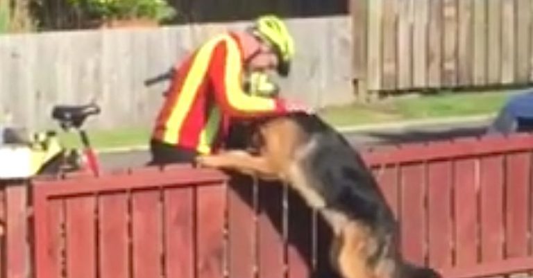 mailman says hello to dog