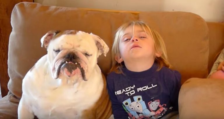 Mom Catches Her Son And Bulldog Adorably Dozing Off Together