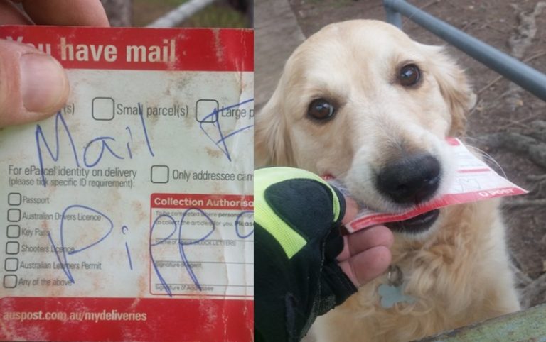 Pippa gets mail
