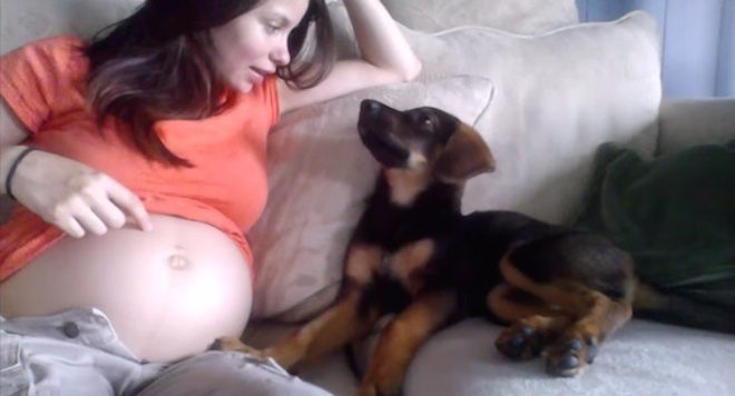 puppy approves of baby