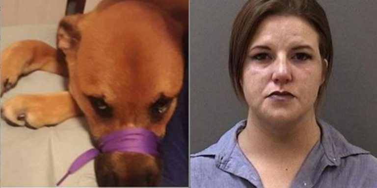Woman Faces Animal Cruelty Charges After Posting Photo Of Dog With Snout Tied Up On Facebook