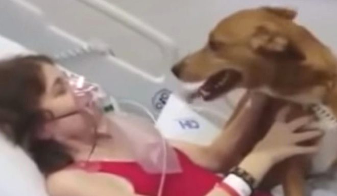Watch The Heartfelt Moment Woman’s Dying Wish To See Her Dog Is Fulfilled