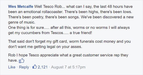 tesco-cucumber-9