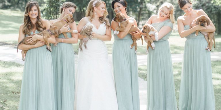 bridesmaids-with-puppies